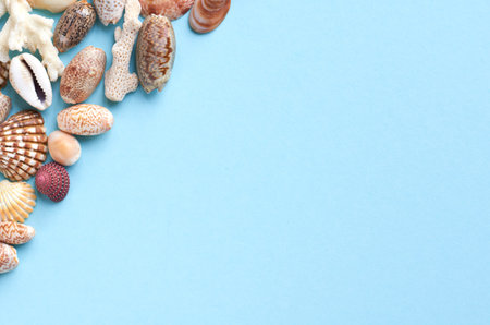 Summer vacation composition idea, seashells on blue background, flat lay and top view photo