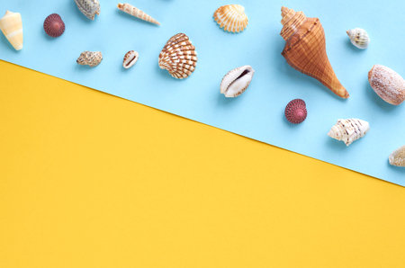 Summer vacation composition idea, seashells on blue and yellow background, flat lay and top view...