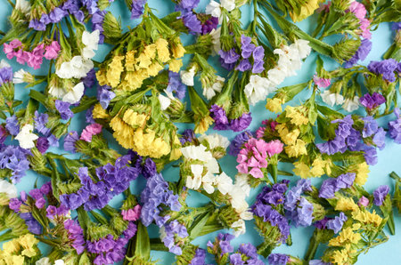 Colored flowers on blue background composition. Flat lay and top view photo