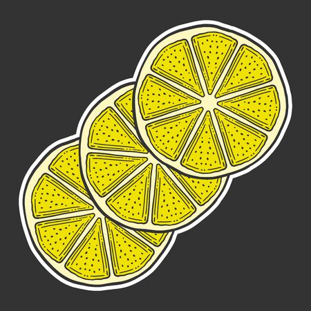 Fresh lemon slice, half of orange. Vector in doodle and sketch style. Isolated on dark backgroundのイラスト素材