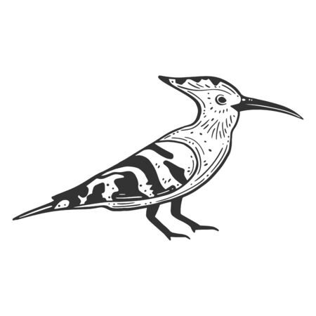 Wildbird hoopie. Vector concept in doodle and sketch style. Hand drawn illustration for printing on T-shirts, postcards.のイラスト素材