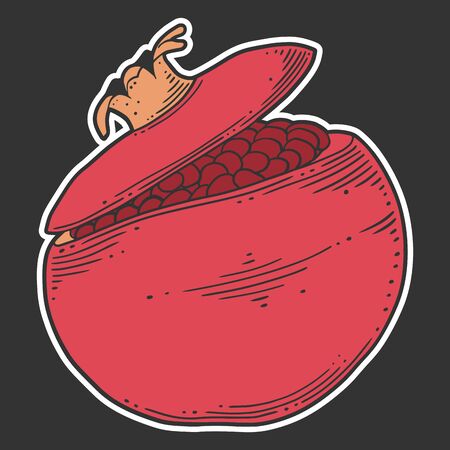 Fresh raw pomegranate. Vector concept in doodle and sketch style. Hand drawn illustration for printing on T-shirts, postcards.のイラスト素材