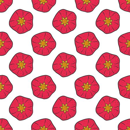 Sweet ripe pomegranate. Vector concept in doodle and sketch style. Hand drawn illustration for printing on T-shirts, postcards. Seamless pattern for textile, paper wrap.のイラスト素材
