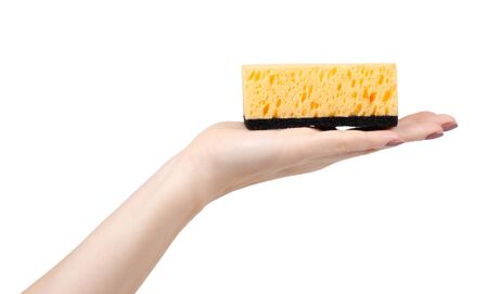 Hand with orange kitchen sponge, dishware foam. Isolated on white background.の写真素材