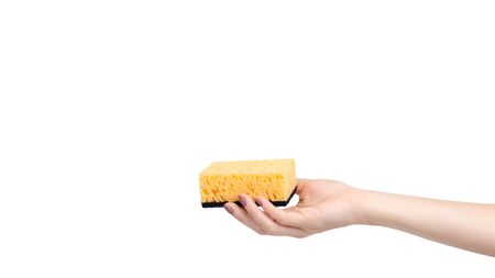 Hand with orange kitchen sponge, dishware foam. Isolated on white background. Copy space, template.の写真素材