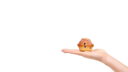 Hand with homemade blueberry cupcake. Isolated on white background. Copy space, template.の写真素材