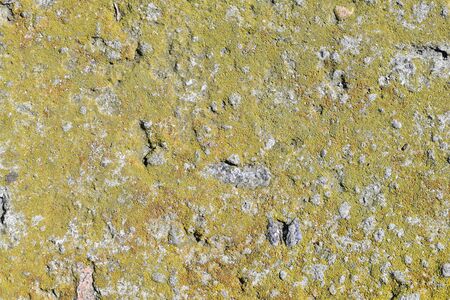 Old grey stone with yellow moss texture background.の写真素材