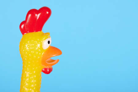 Funny rubber toy chicken with open mouth.の写真素材