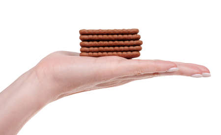 Brown crunchy biscuit, chocolate cookie.の写真素材