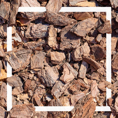 Beautiful brown bark pattern with white frame.