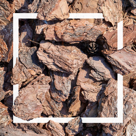Beautiful brown bark pattern with white frame.