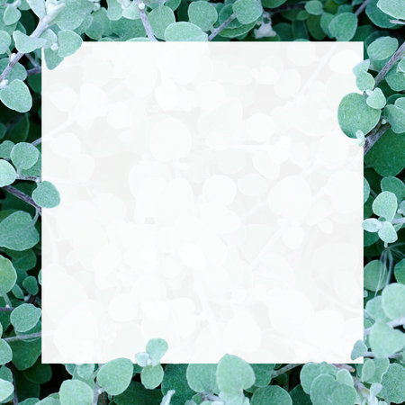 Beautiful floral pattern with white frame.の写真素材