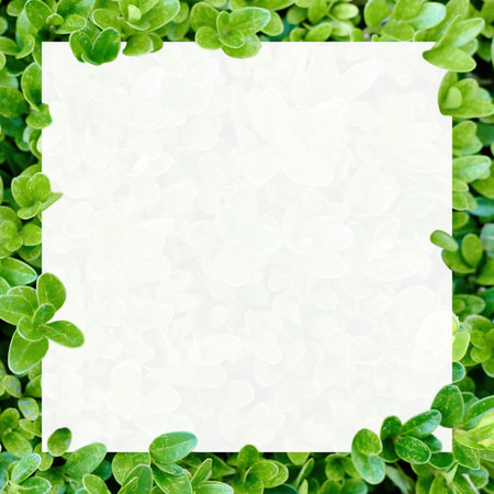 Beautiful floral pattern with white frame.