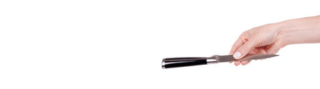Steel kitchen knife, domestic utensil.
