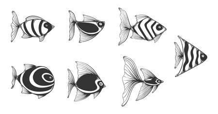 Hand drawn vector of exotic fish.のイラスト素材