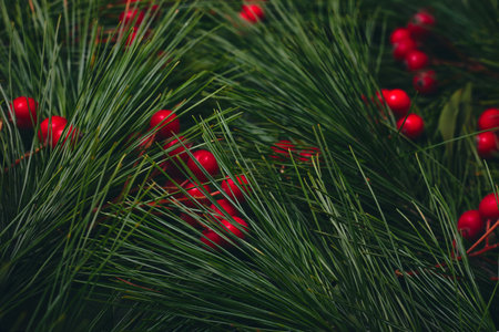 Close up photo of green leaves, nature.の写真素材