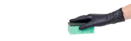 Hand in black latex gloves with cleaning sponge, isolated on white background. High quality photoの写真素材