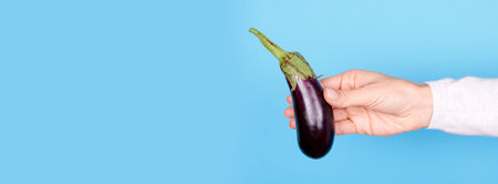 Hand with fresh ripe purple eggplant.