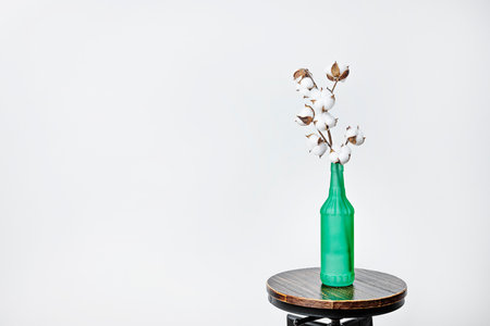 photo of delicate branch of white cotton inside green bottle on black metal stool and white backgroundの写真素材