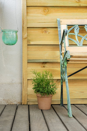 Vertical image of terrace in photography studio with vintage set and plantの写真素材