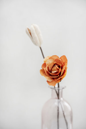 Vase bottle with orange rose and white background