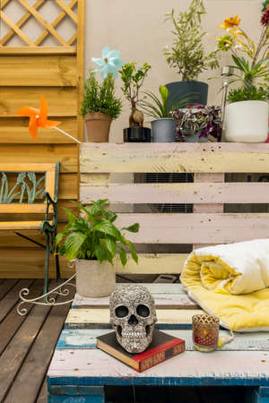 Terrace corner with plants and reading area with the silent company of a decorative skull.の写真素材