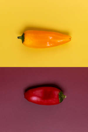 each pepper in its color from top viewの写真素材