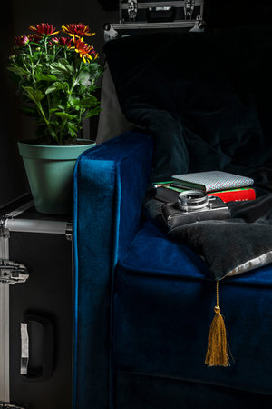 Still life of blue velvet sofa with camera, flowers and pro material suitcases