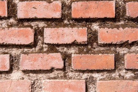 Background of clay bricks with moss and cement between the boards.の写真素材