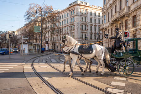 Green buggy with white horses driving through the center of Viennaの写真素材