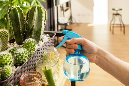 Young man's hand watering cactus with a spray water sprayer in a bright living room