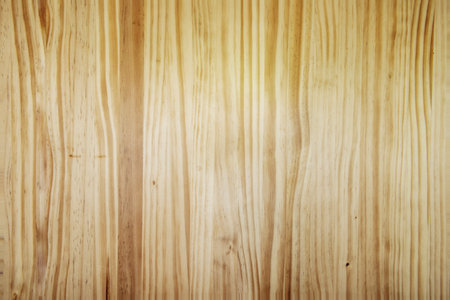 Wooden table top with elongated pine grain. vector wood background textureの写真素材