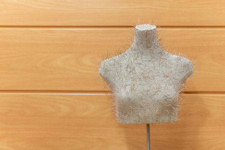 Bust full of acupuncture pins in a room with a wooden wall