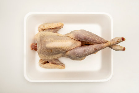 Peeled raw hen on a white polystyrene trayの写真素材