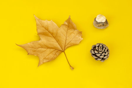 Autumnal image with a dry leaf, a small pineapple and some stones on a plain yellow backgroundの写真素材