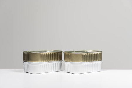 Metal canned fish cans of different types on a smooth white surfaceの写真素材