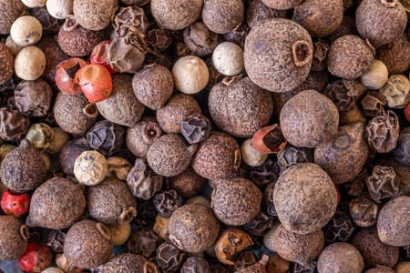 Piper nigrum, the Old World pepper, the most widespread of these species, from which the spices called black pepper, white pepper, and green pepper are extractedの写真素材