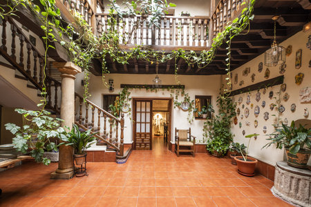 Interior patio of a house with various heights with wooden coffered ceilings, stairs with balustrades of the same material and many decorative plantsの写真素材