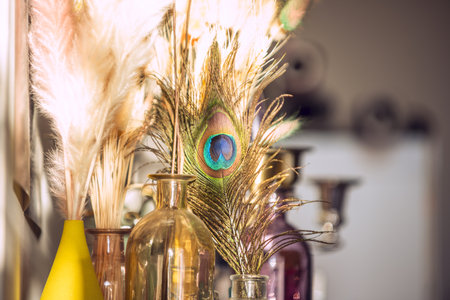 Jars, bottles and glass jars with dry branches and peacock feathersの写真素材