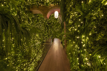 Corridor of an entertainment venue decorated with little lights and artificial plantsの写真素材