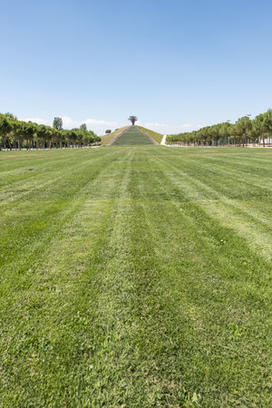 A large grass field in an urban park in the southeast of the city of Madridの写真素材