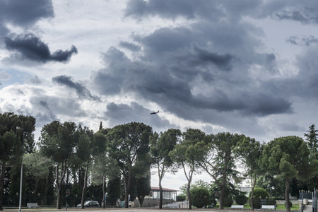 A stormy day in a park with trees and a transport plane coming down to landの写真素材