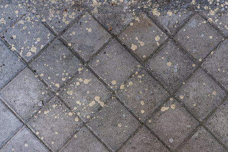 A tile floor with paint stains. Vector cement texture backgroundの写真素材