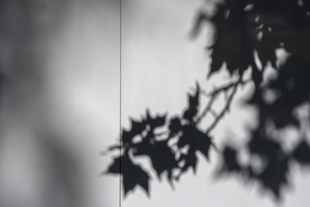 Shadows of tree branches on smooth gray surface of a wall in the city