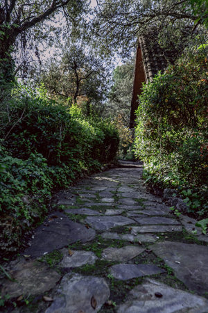 A small wooden cabin at the end of a stone-pavedの写真素材