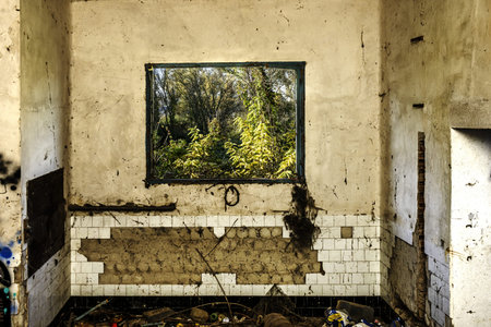 An abandoned building with many deteriorations and a window overlooking a forest