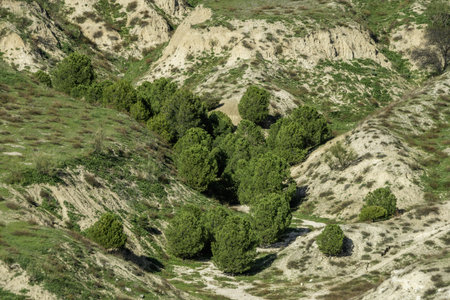 Some slopes of a mountain with some low trees and sparse vegetationの写真素材