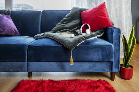 A blue velvet sofa with colorful cushions, a plant, white sheer curtains in a room with wooden floors and a red shaggy rugの写真素材