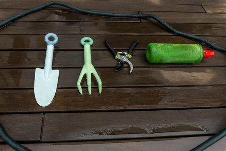 Gardening tools and accessories on a dark plank floorの写真素材