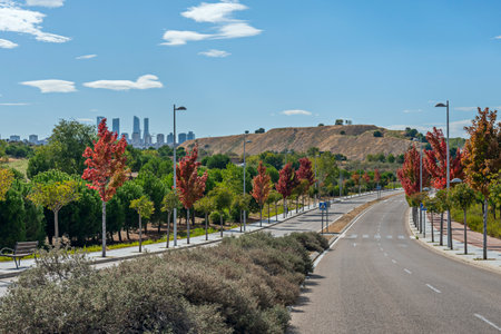 They are mainly intended for offices, although they also house some luxury apartments and complementary services such as restaurants and shopsの写真素材